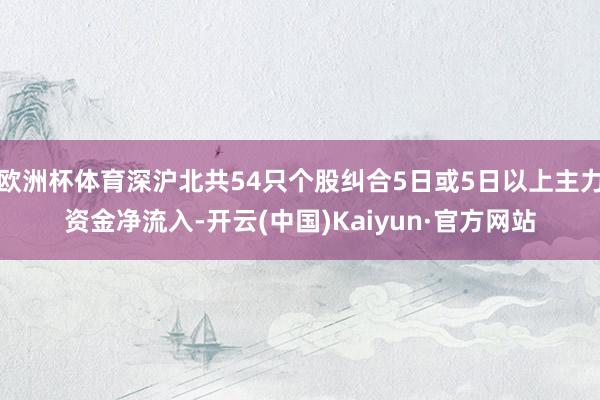 歐洲杯體育深滬北共54只個(gè)股糾合5日或5日以上主力資金凈流入-開(kāi)云(中國(guó))Kaiyun·官方網(wǎng)站